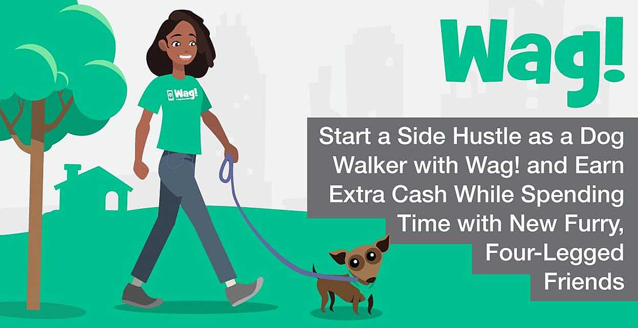 Wagz hot sale dog walking